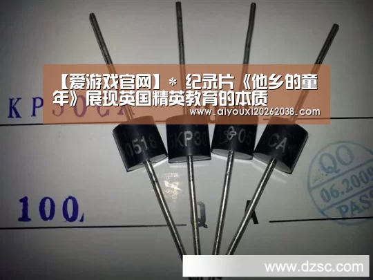 爱游戏体育