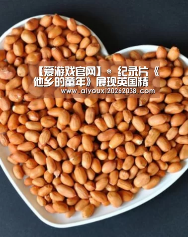 爱游戏官网