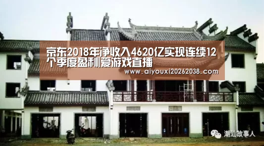 京东2018年净收入4620亿实现连续12个季度盈利|爱游戏直播(图2) 爱游戏下载