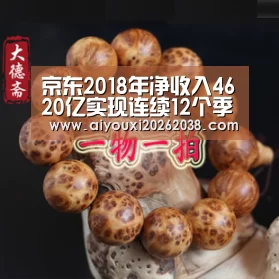 京东2018年净收入4620亿实现连续12个季度盈利|爱游戏直播(图1) 爱游戏直播